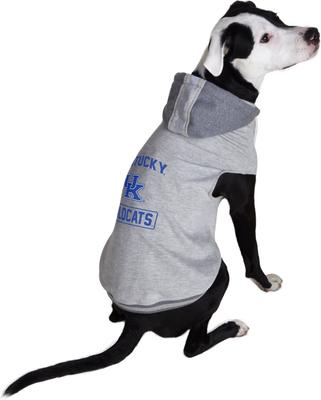 Show full view: Littlearth NCAA Dog & Cat Hooded Crewneck Sweater, Kentucky Wildcats, Small slide 5 of 7