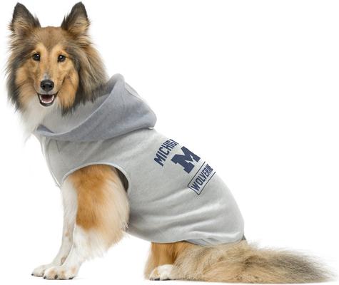 Show full view: Littlearth NCAA Dog & Cat Hooded Crewneck Sweater, Michigan Wolverines, X-Small slide 3 of 6
