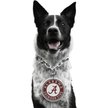 Show in main carousel: Littlearth NCAA Fan Chain for Dogs & Cats, Alabama Crimson Tide slide 1 of 6