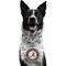 Show in main carousel: Littlearth NCAA Fan Chain for Dogs & Cats, Alabama Crimson Tide slide 1 of 7