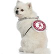 Show in main carousel: Littlearth NCAA Fan Chain for Dogs & Cats, Alabama Crimson Tide slide 3 of 6