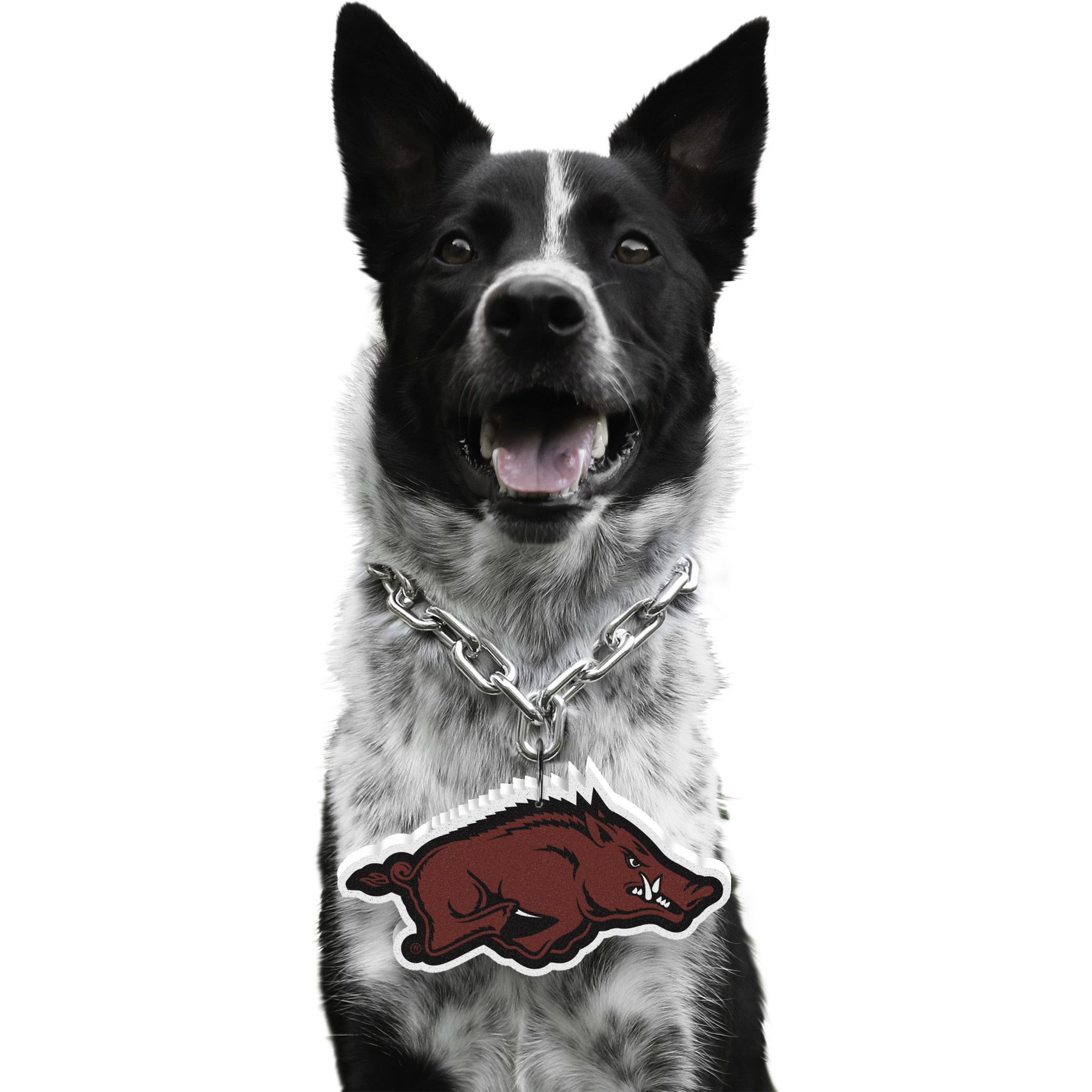 Littlearth NCAA Fan Chain for Dogs & Cats, Arkansas Razorbacks