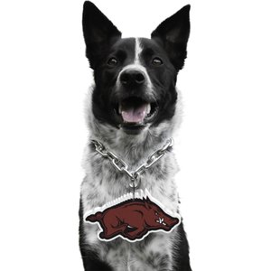 Littlearth NCAA Fan Chain for Dogs & Cats, Arkansas Razorbacks