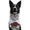Show in main carousel: Littlearth NCAA Fan Chain for Dogs & Cats, Arkansas Razorbacks slide 1 of 6