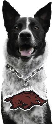 Show full view: Littlearth NCAA Fan Chain for Dogs & Cats, Arkansas Razorbacks slide 1 of 6