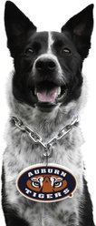 Littlearth NCAA Fan Chain for Dogs & Cats, Auburn Tigers