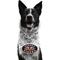 Show in main carousel: Littlearth NCAA Fan Chain for Dogs & Cats, Auburn Tigers slide 1 of 7