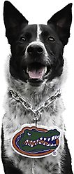 Littlearth NCAA Fan Chain for Dogs & Cats, Florida Gators