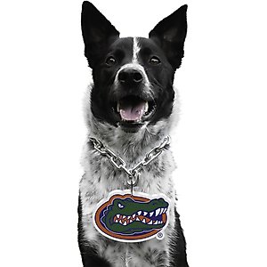 Littlearth NCAA Fan Chain for Dogs & Cats, Florida Gators