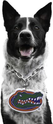 Show full view: Littlearth NCAA Fan Chain for Dogs & Cats, Florida Gators slide 1 of 6