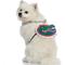 Show in main carousel: Littlearth NCAA Fan Chain for Dogs & Cats, Florida Gators slide 3 of 6