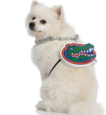 Show full view: Littlearth NCAA Fan Chain for Dogs & Cats, Florida Gators slide 3 of 6