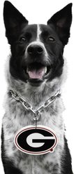 Littlearth NCAA Fan Chain for Dogs & Cats, Georgia Bulldogs