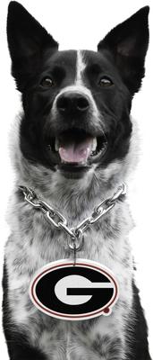 Show full view: Littlearth NCAA Fan Chain for Dogs & Cats, Georgia Bulldogs slide 1 of 7