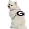 Show in main carousel: Littlearth NCAA Fan Chain for Dogs & Cats, Georgia Bulldogs slide 4 of 7