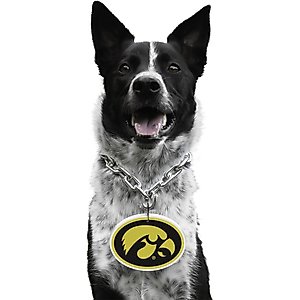 Littlearth NCAA Fan Chain for Dogs & Cats, Iowa Hawkeyes