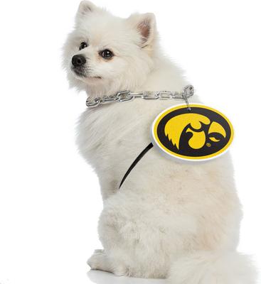 Show full view: Littlearth NCAA Fan Chain for Dogs & Cats, Iowa Hawkeyes slide 4 of 7