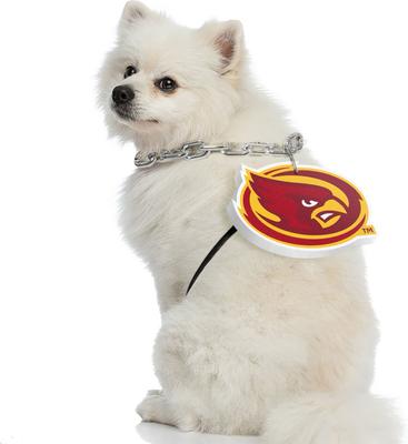 Show full view: Littlearth NCAA Fan Chain for Dogs & Cats, Iowa State Cyclones slide 3 of 6