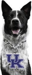 Littlearth NCAA Fan Chain for Dogs & Cats, Kentucky Wildcats