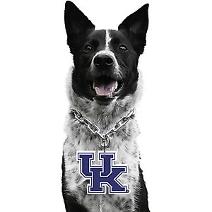 Littlearth NCAA Fan Chain for Dogs & Cats, Kentucky Wildcats