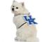 Show in main carousel: Littlearth NCAA Fan Chain for Dogs & Cats, Kentucky Wildcats slide 3 of 6