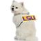 Show in main carousel: Littlearth NCAA Fan Chain for Dogs & Cats, LSU Tigers slide 3 of 6