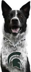 Littlearth NCAA Fan Chain for Dogs & Cats, Michigan State Spartans