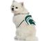 Show in main carousel: Littlearth NCAA Fan Chain for Dogs & Cats, Michigan State Spartans slide 3 of 6