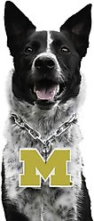 Littlearth NCAA Fan Chain for Dogs & Cats, Michigan Wolverines