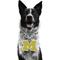 Show in main carousel: Littlearth NCAA Fan Chain for Dogs & Cats, Michigan Wolverines slide 1 of 6