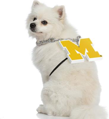 Show full view: Littlearth NCAA Fan Chain for Dogs & Cats, Michigan Wolverines slide 3 of 6