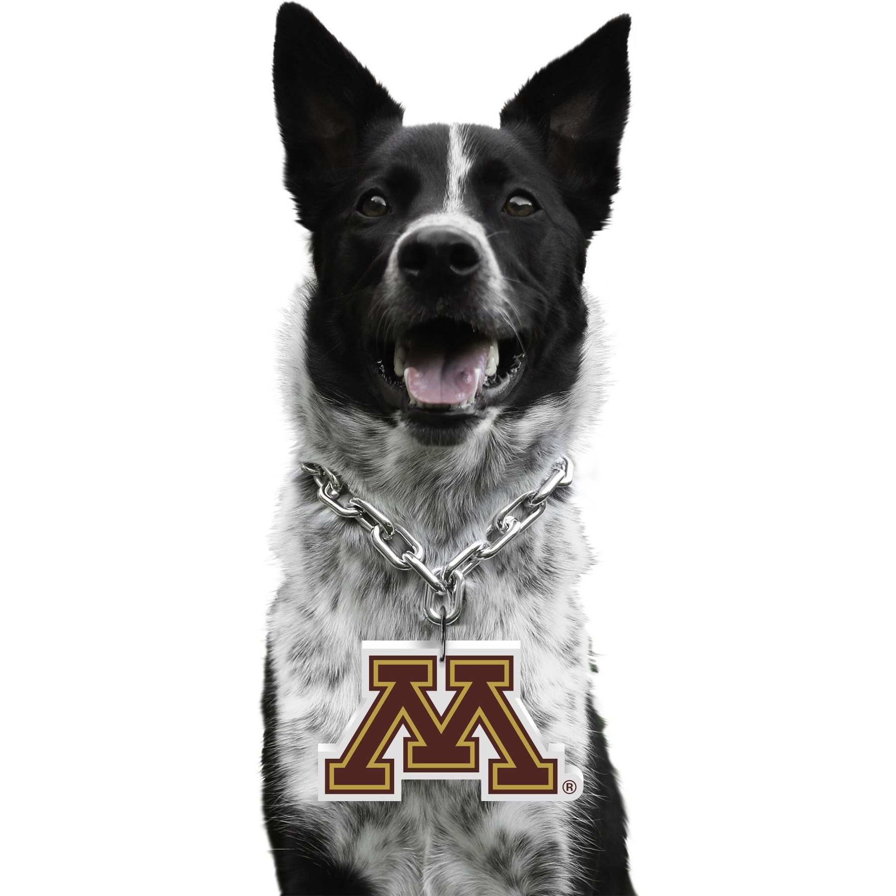 Littlearth NCAA Fan Chain for Dogs & Cats, Minnesota Golden Gophers