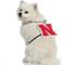 Show in main carousel: Littlearth NCAA Fan Chain for Dogs & Cats, Nebraska Cornhuskers slide 3 of 6