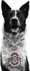 Littlearth NCAA Fan Chain for Dogs & Cats, Ohio State Buckeyes