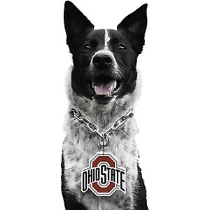 Littlearth NCAA Fan Chain for Dogs & Cats, Ohio State Buckeyes