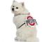 Show in main carousel: Littlearth NCAA Fan Chain for Dogs & Cats, Ohio State Buckeyes slide 3 of 6