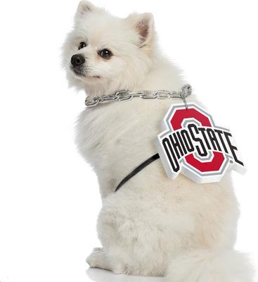 Show full view: Littlearth NCAA Fan Chain for Dogs & Cats, Ohio State Buckeyes slide 3 of 6