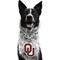 Show in main carousel: Littlearth NCAA Fan Chain for Dogs & Cats, Oklahoma Sooners slide 1 of 6