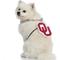 Show in main carousel: Littlearth NCAA Fan Chain for Dogs & Cats, Oklahoma Sooners slide 3 of 6