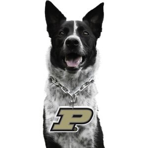 Littlearth NCAA Fan Chain for Dogs & Cats, Purdue Boilermakers