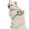 Show in main carousel: Littlearth NCAA Fan Chain for Dogs & Cats, Purdue Boilermakers slide 3 of 6