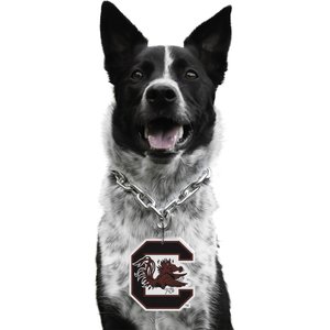 Littlearth NCAA Fan Chain for Dogs & Cats, South Carolina Fighting Gamecocks