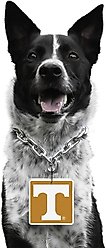Littlearth NCAA Fan Chain for Dogs & Cats, Tennessee Volunteers