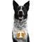 Show in main carousel: Littlearth NCAA Fan Chain for Dogs & Cats, Tennessee Volunteers slide 1 of 6