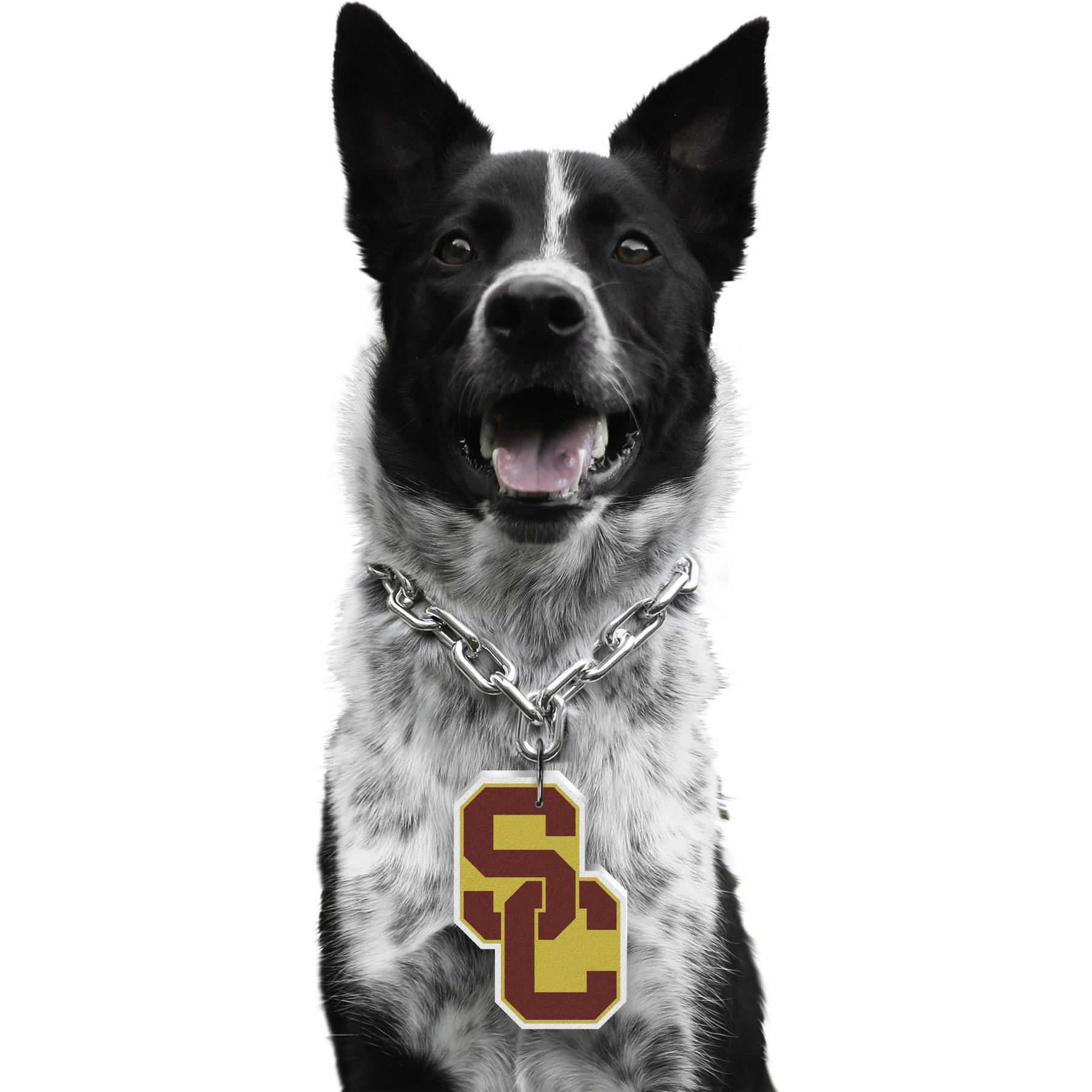Littlearth NCAA Fan Chain for Dogs & Cats, USC Trojans