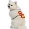 Show in main carousel: Littlearth NCAA Fan Chain for Dogs & Cats, USC Trojans slide 3 of 6