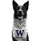 Show in main carousel: Littlearth NCAA Fan Chain for Dogs & Cats, Washington Huskies slide 1 of 6