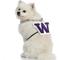 Show in main carousel: Littlearth NCAA Fan Chain for Dogs & Cats, Washington Huskies slide 3 of 6