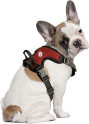 Littlearth NCAA Front Clip Dog Harness, Alabama Crimson Tide, Small