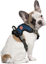 Littlearth NCAA Front Clip Dog Harness, Auburn University, Medium slide 1 of 5